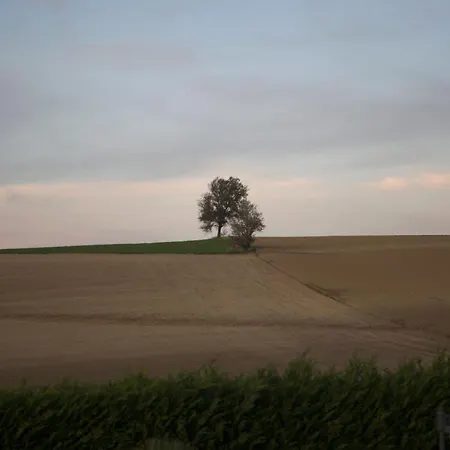 カントリーハウス Osteria Dei Segreti