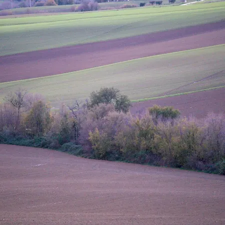 Osteria Dei Segreti * Appignano (Macerata)